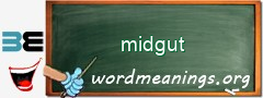 WordMeaning blackboard for midgut